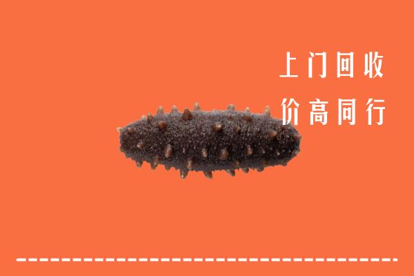高价求购：古浪县回收海参