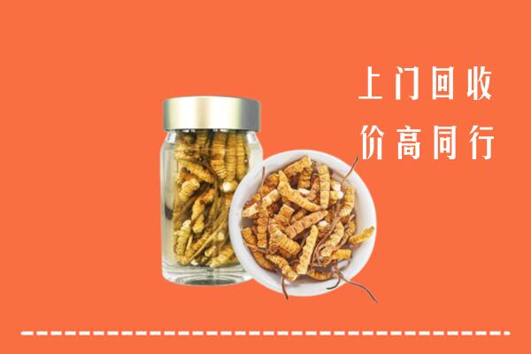 古浪县回收冬虫夏草