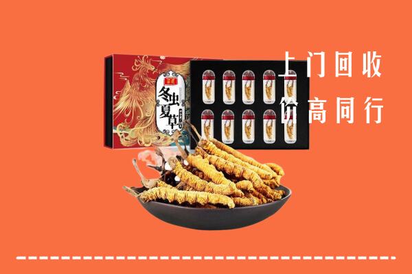 古浪县回收虫草